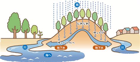 涵養水源的意思